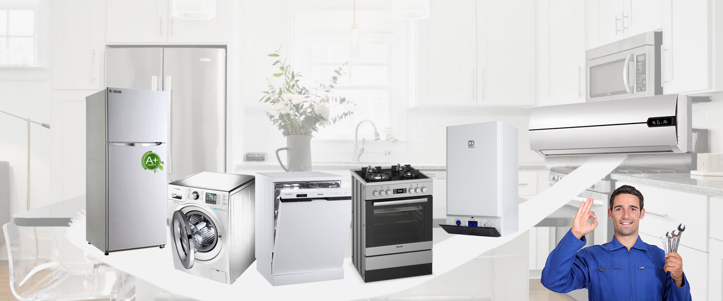 Şifne Electrolux Servisi